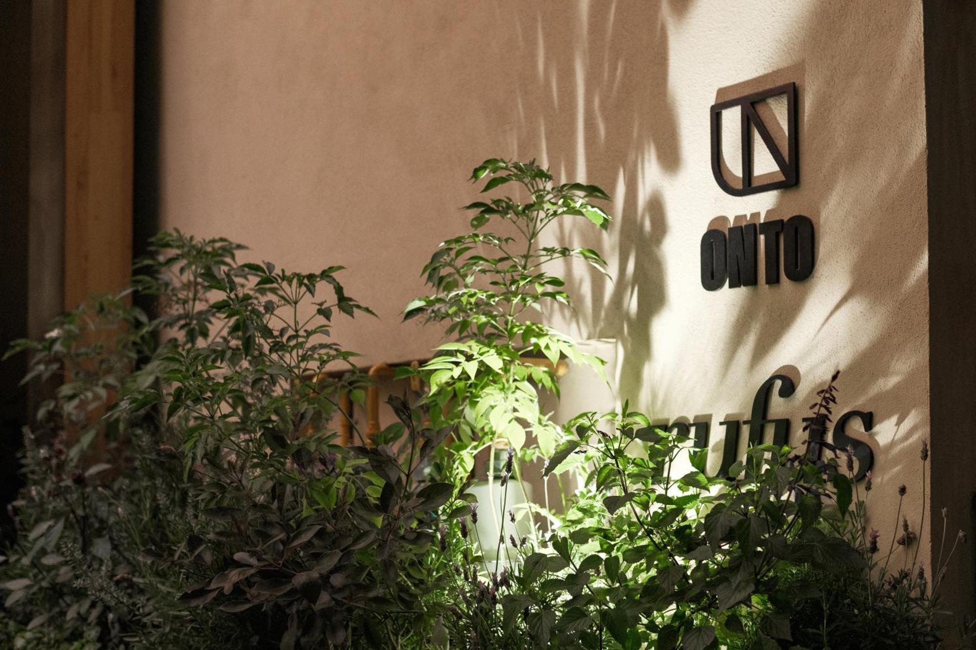 Onto Alvaro Obregon Mexico City Exterior photo